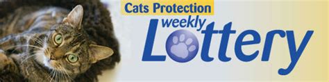 cat protection lottery|Iba pa.